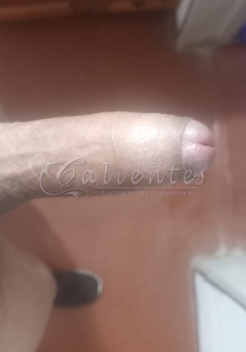 Escort Eli trans en Centro Córdoba Sierrascalientes 08