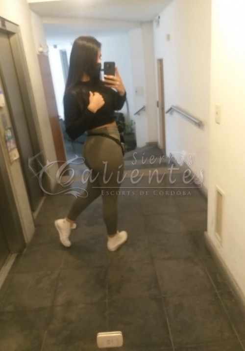 Escort Nicole Trans  en Centro Córdoba Sierrascalientes 064