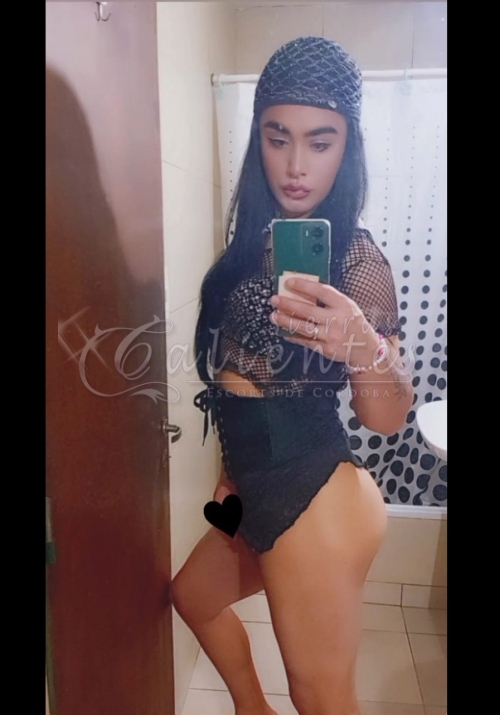 Aylin Trans