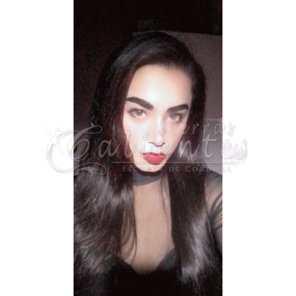 Aylin Trans - Foto 4 | Sierras Calientes