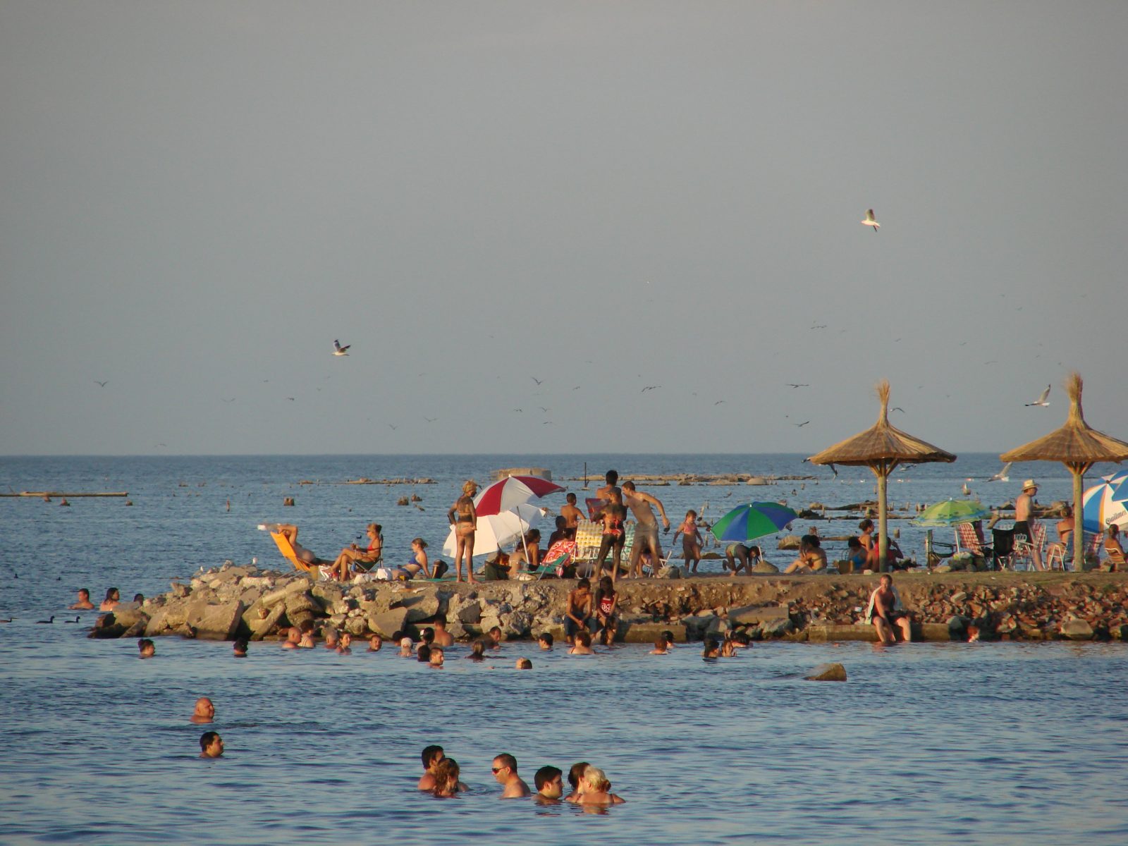 Miramar de Ansenuza