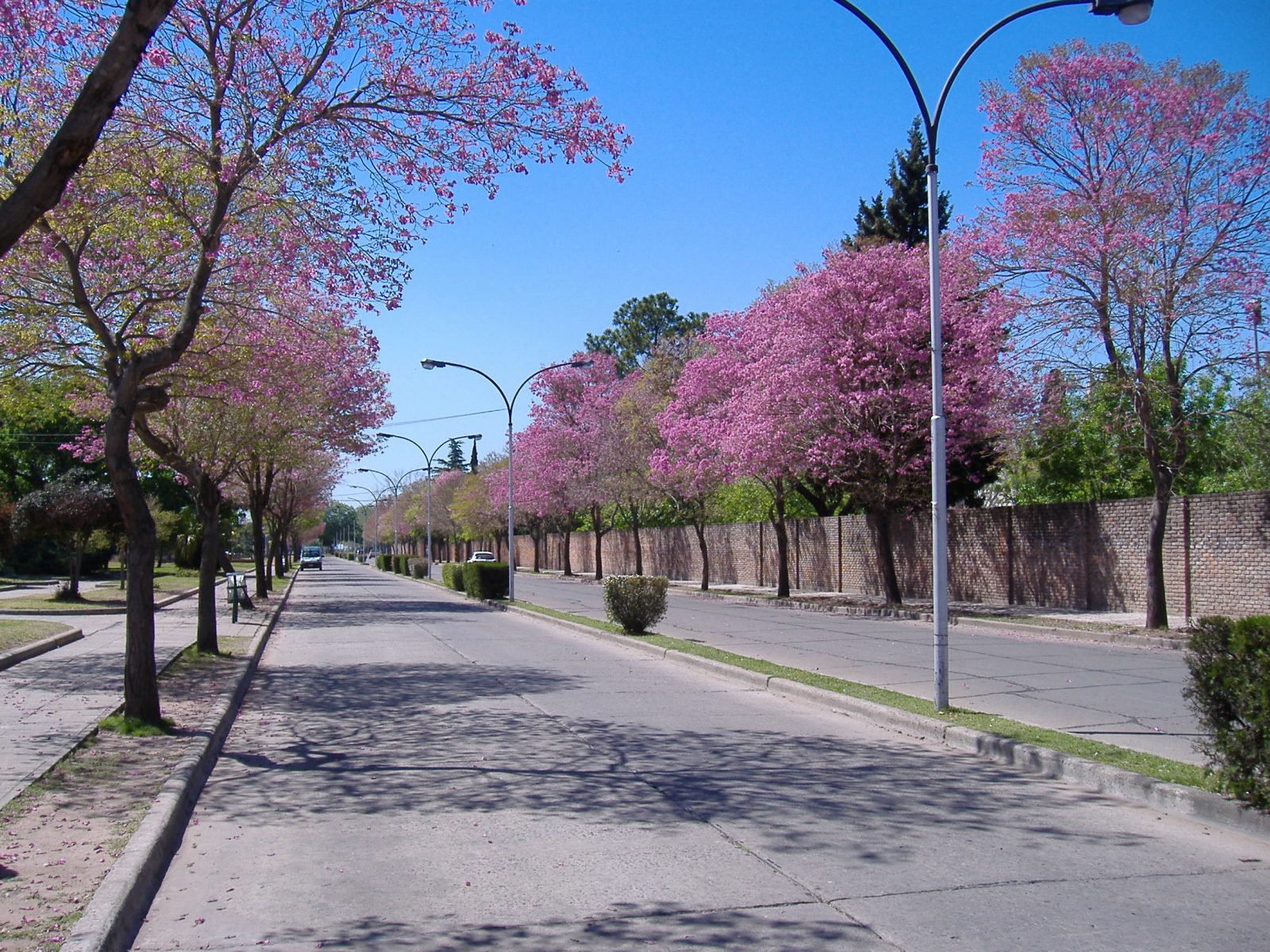 San Lorenzo